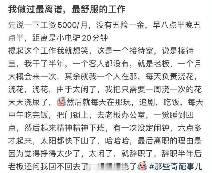 我做过的最离谱最舒服的工作 ​​​