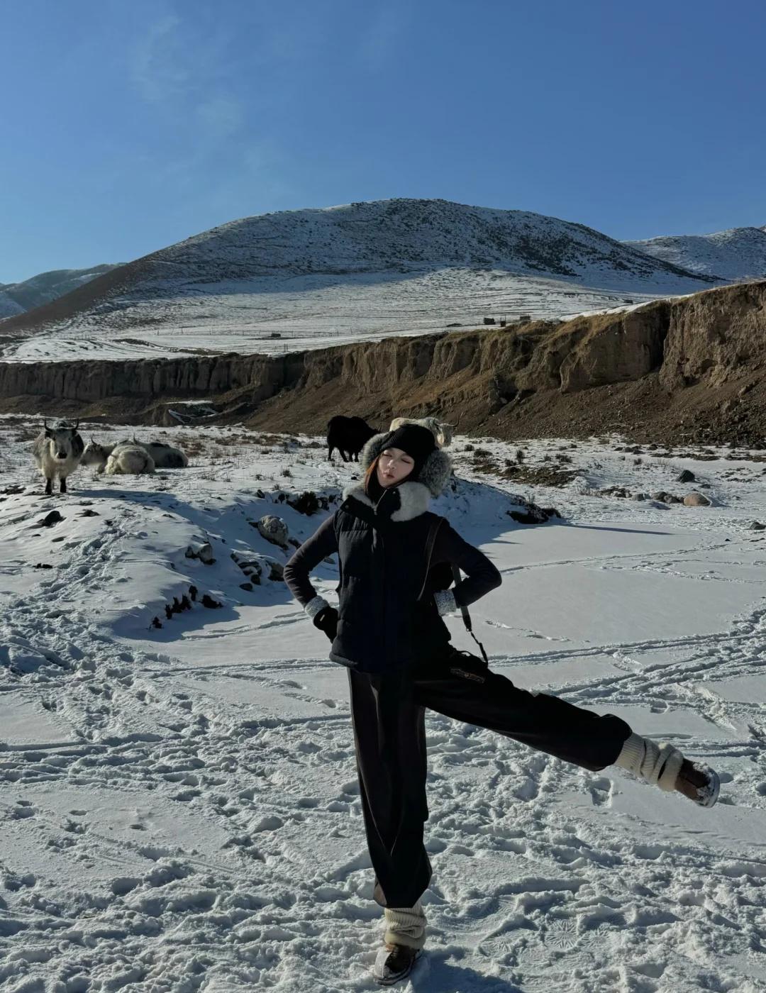 淡季游西北.🏔️去马牙雪山看牦牛
大西北之旅第二篇·兰州周边一日游
从兰州出发