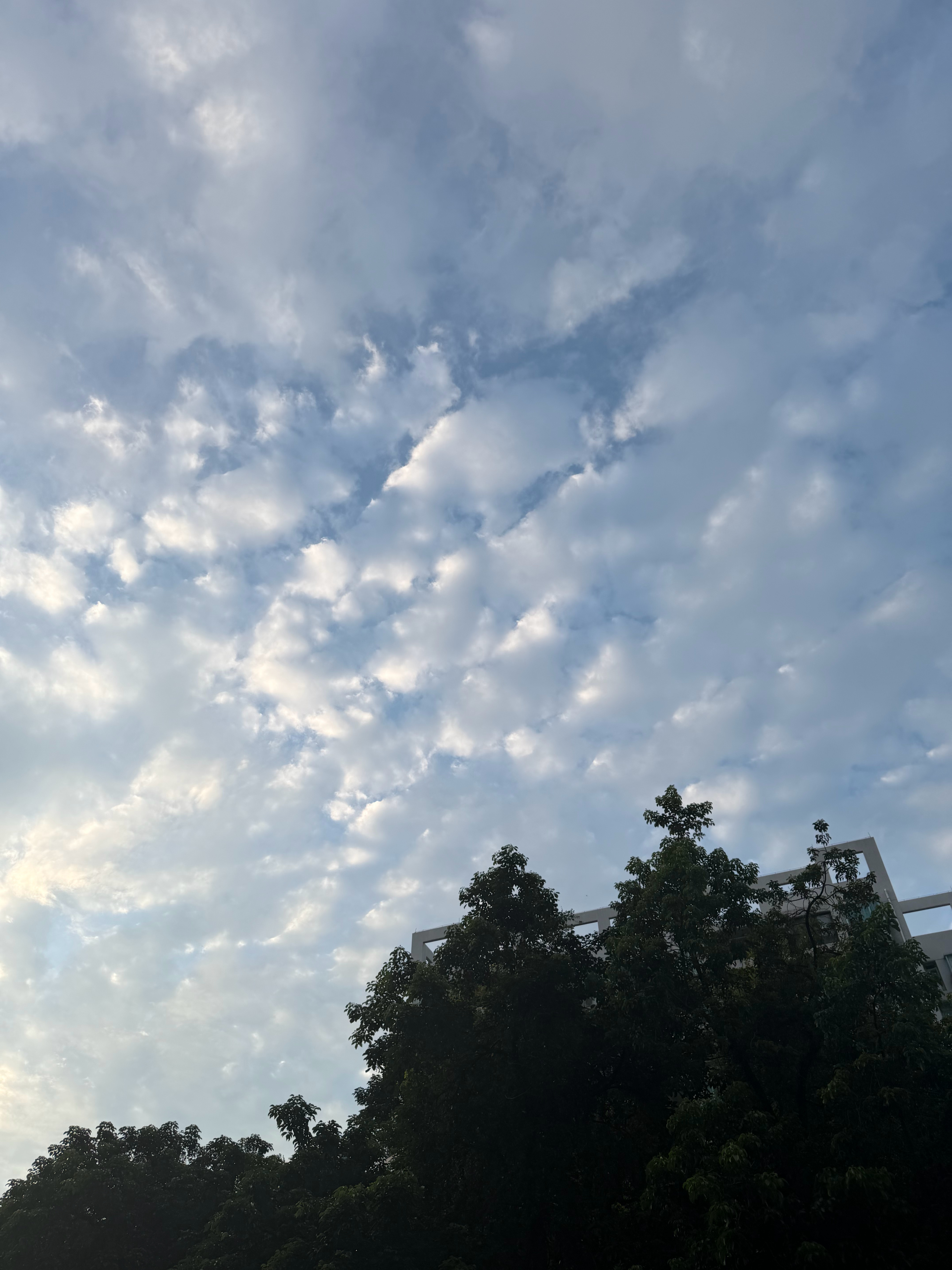 周日深圳也是这样的天气吧不热也不下雨王源宇宙超级无敌大大狂欢巡演王源2026时颂