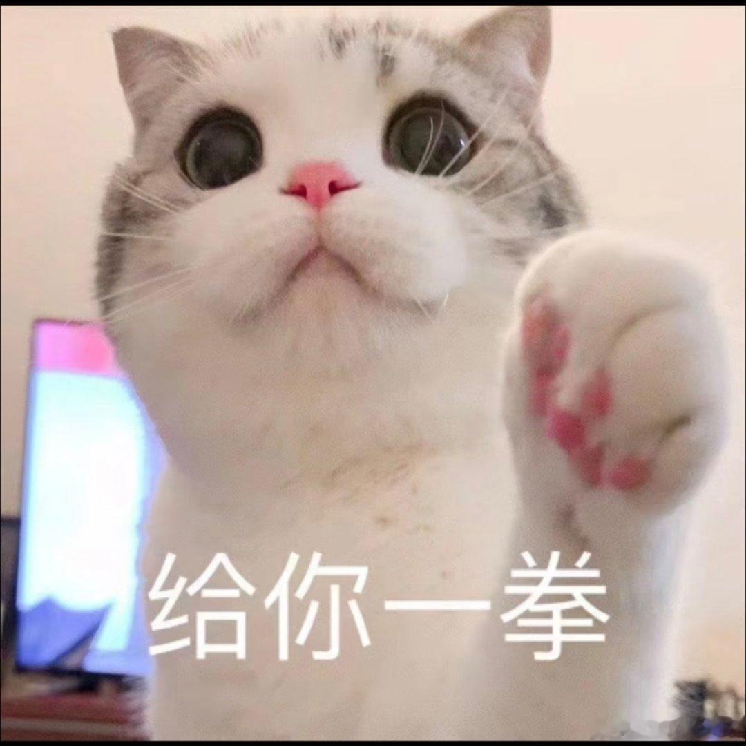 猫咪表情包。 