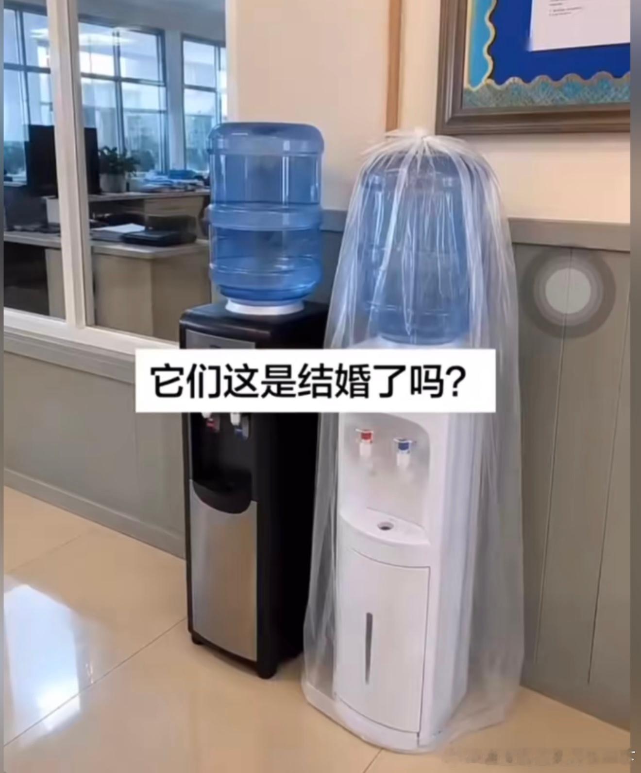6815这是结婚了？ ​​​