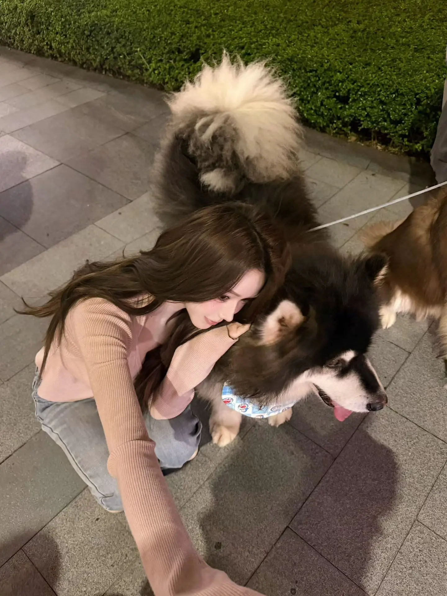 你给我的吻成就了最好的七月