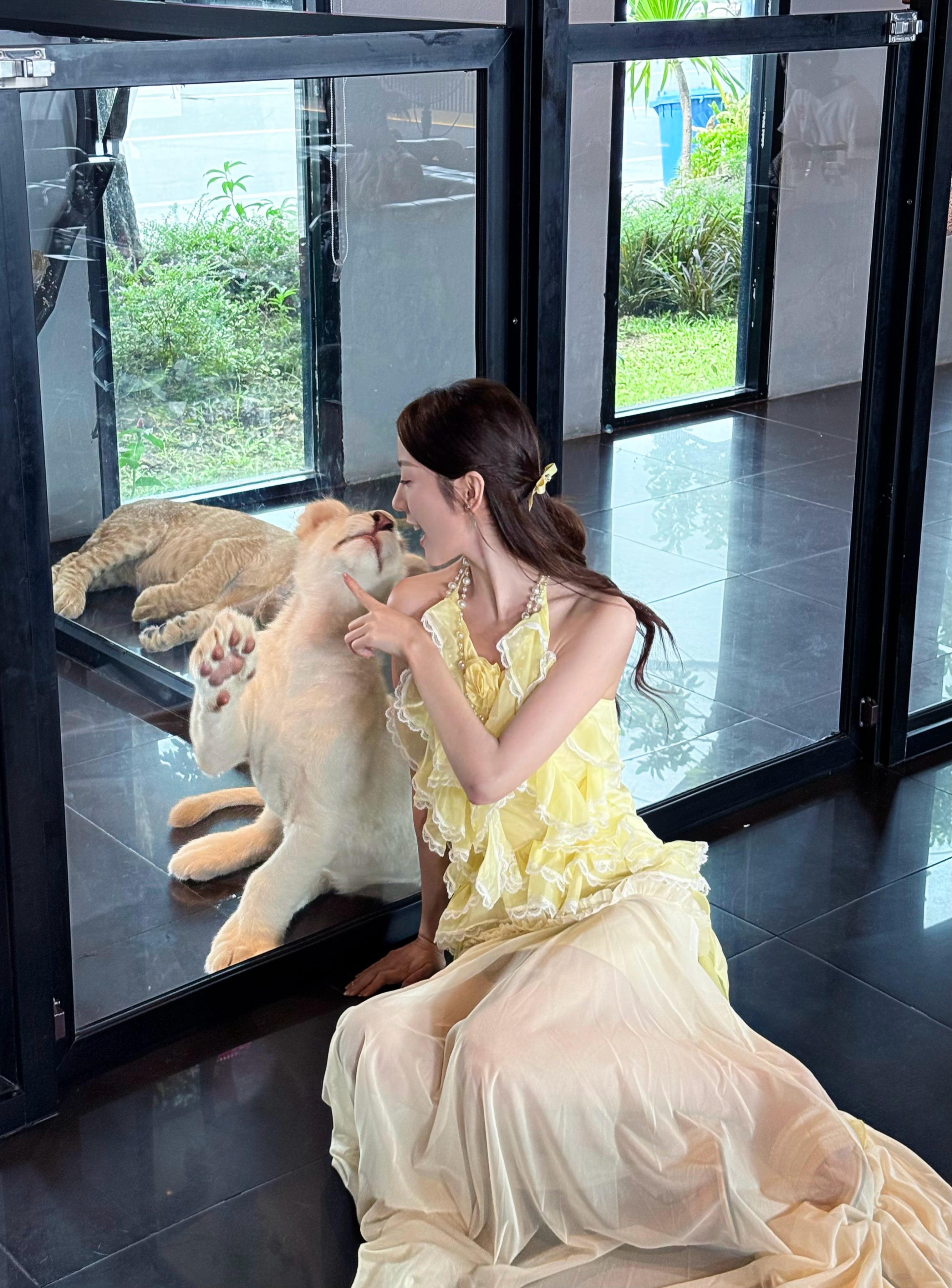 🦁（奶凶奶凶） 