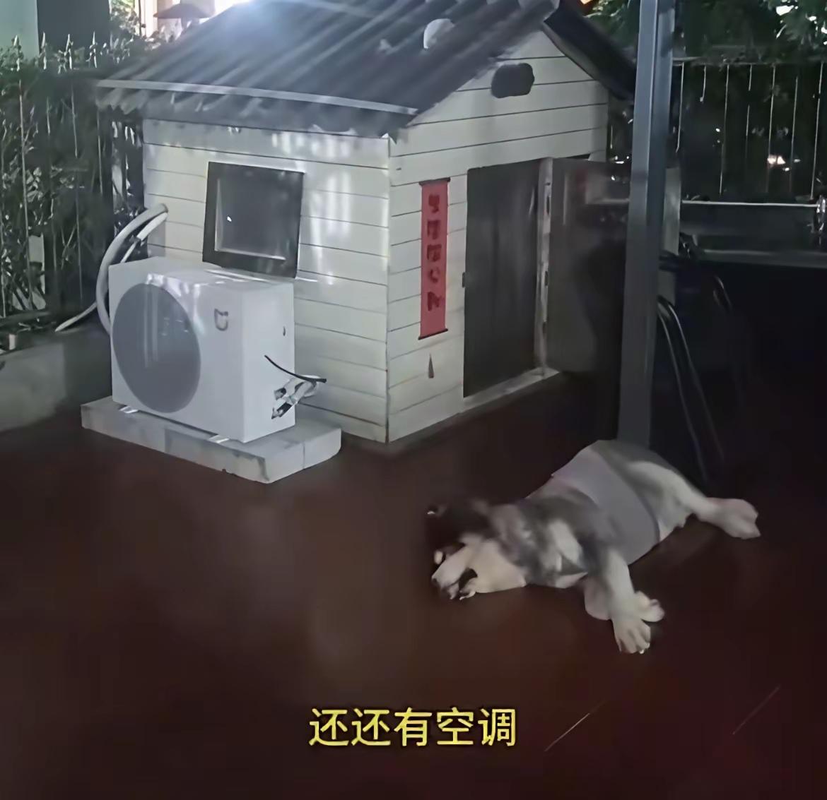 千万别让欧洲人看到了，不然，他们的内心受不了这种打击的。在中国，连狗窝都有装空调