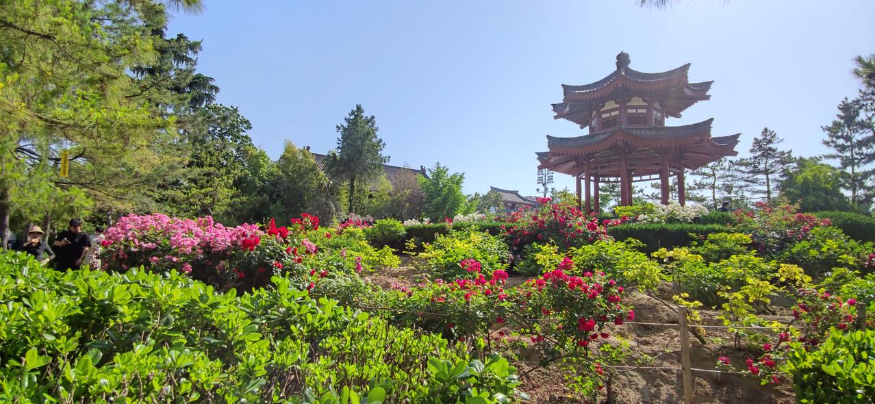 “四时天气促相催，一夜薰风带暑来。”昨日立夏。“夏”在古语中有“大”的意思，万物