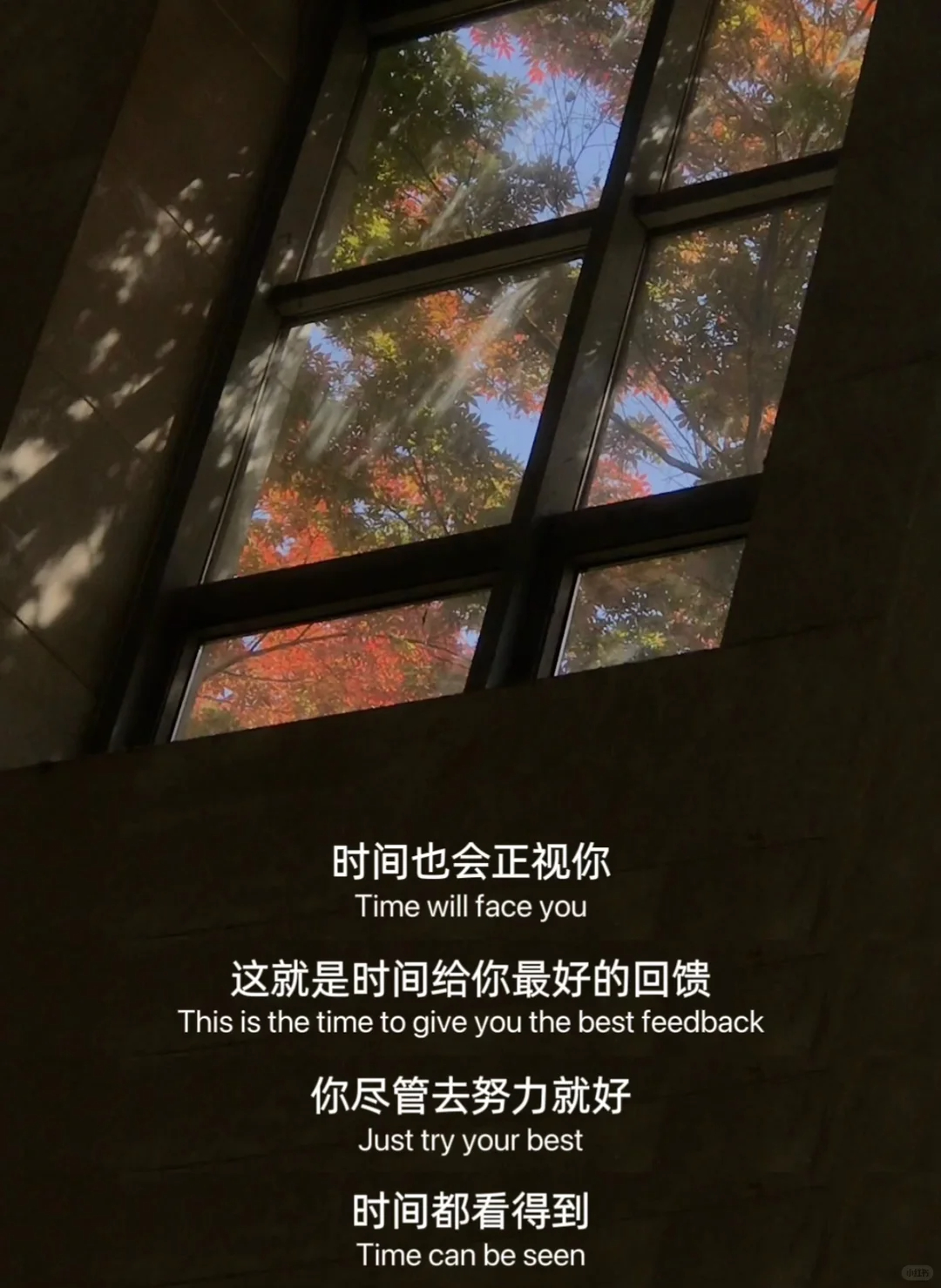 一开始，我们都以为成长是变得更耀眼。后来才知道，成长是越来越沉得住气。不怕慢一点