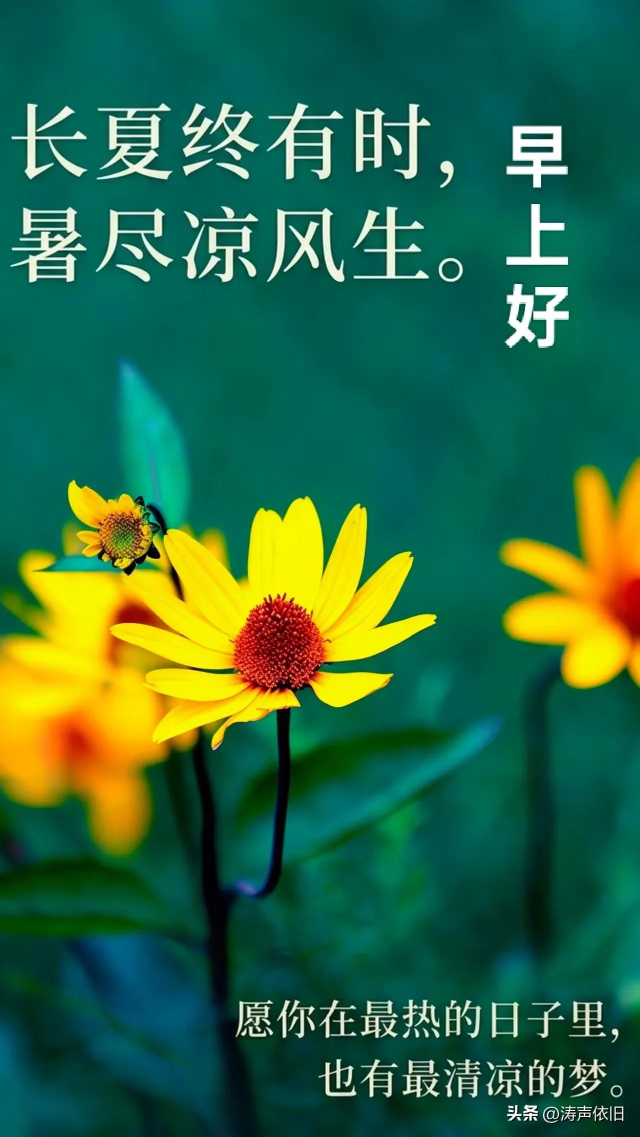 《浣溪沙·晨寄安康》

晓日初开启远航，
愿携晴色伴韶光。
身安无扰自安康。
