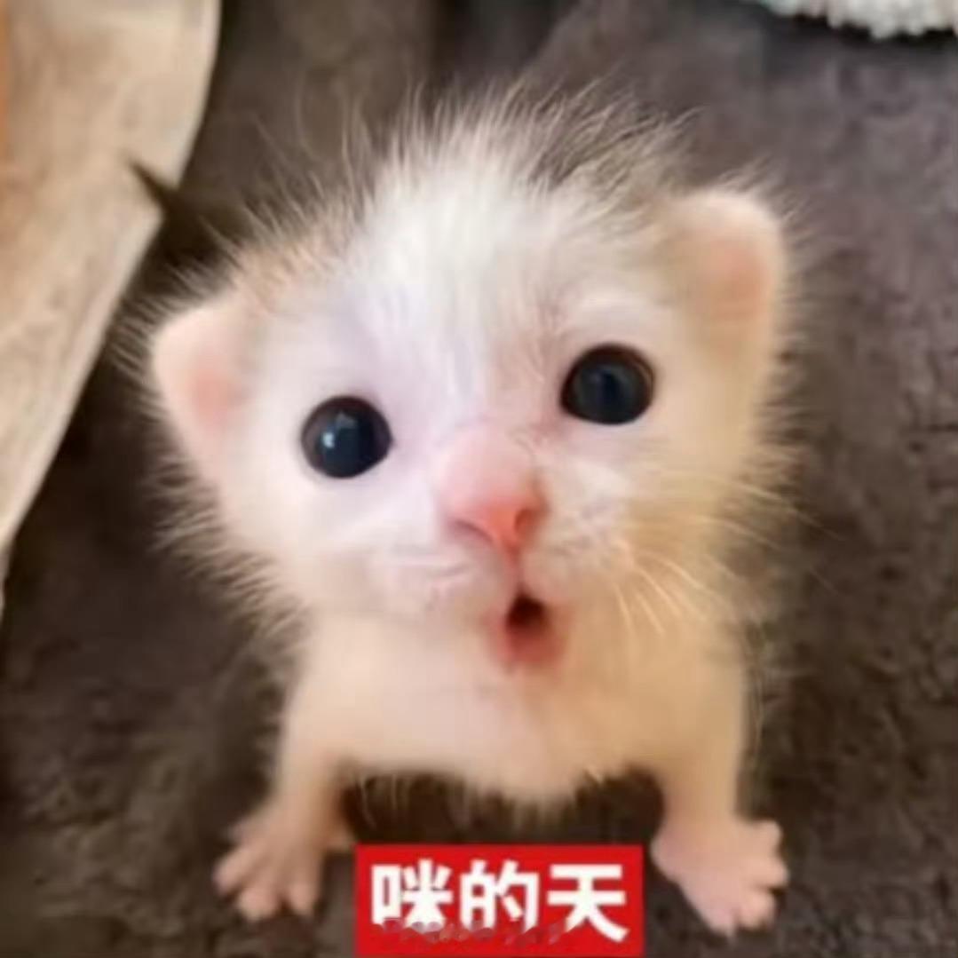 我眼中的自己如此萌： 