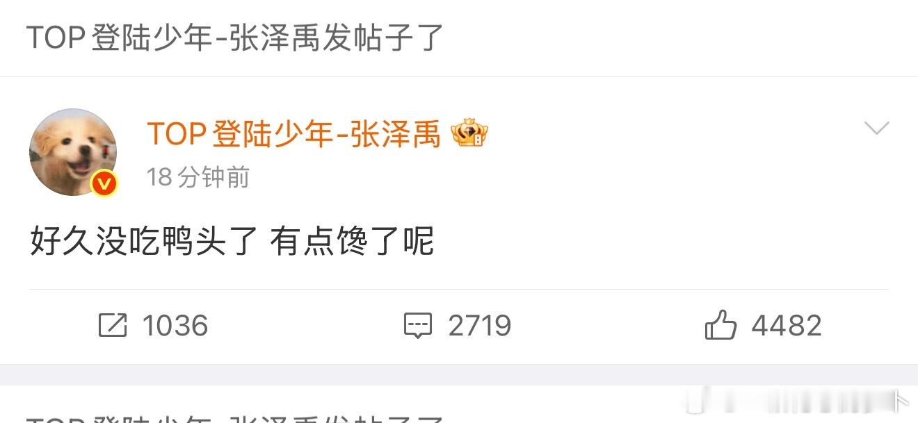 tg 张泽禹暗示演唱会在衢州 