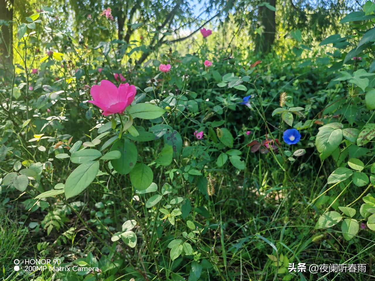 1994年高考结束，我到石家庄参加军校体检，那尴尬的体检场景超出我想象，太难为情