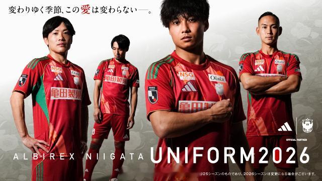 J2新潟天鹅发布2026过渡赛季主场球衣。贤聊球衣 球衣资讯 阿迪达斯 J联赛
