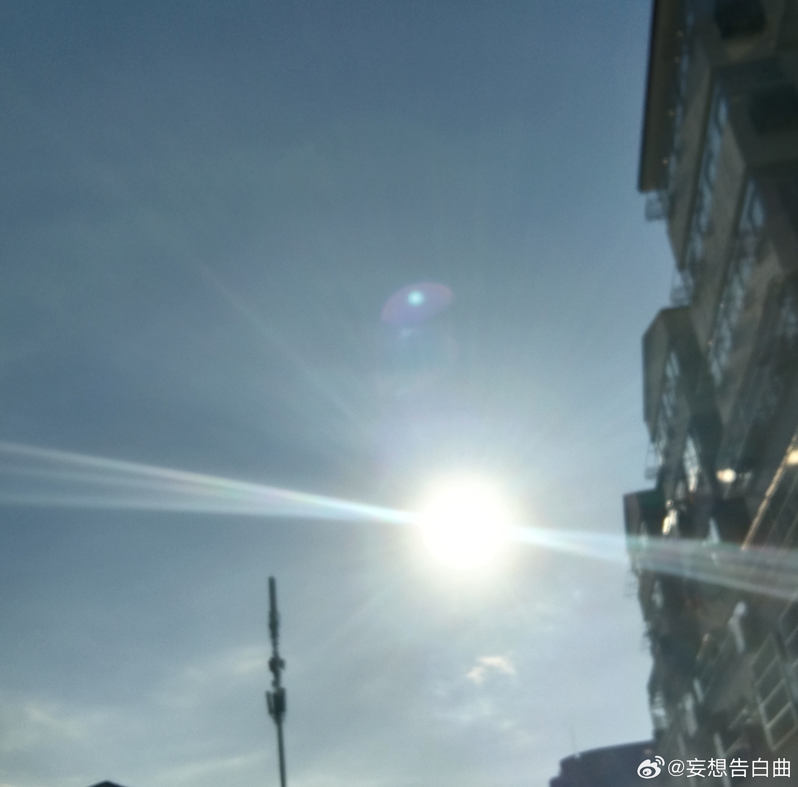 人们常用月亮比作爱情 可她像太阳热烈而耀眼 ​​​