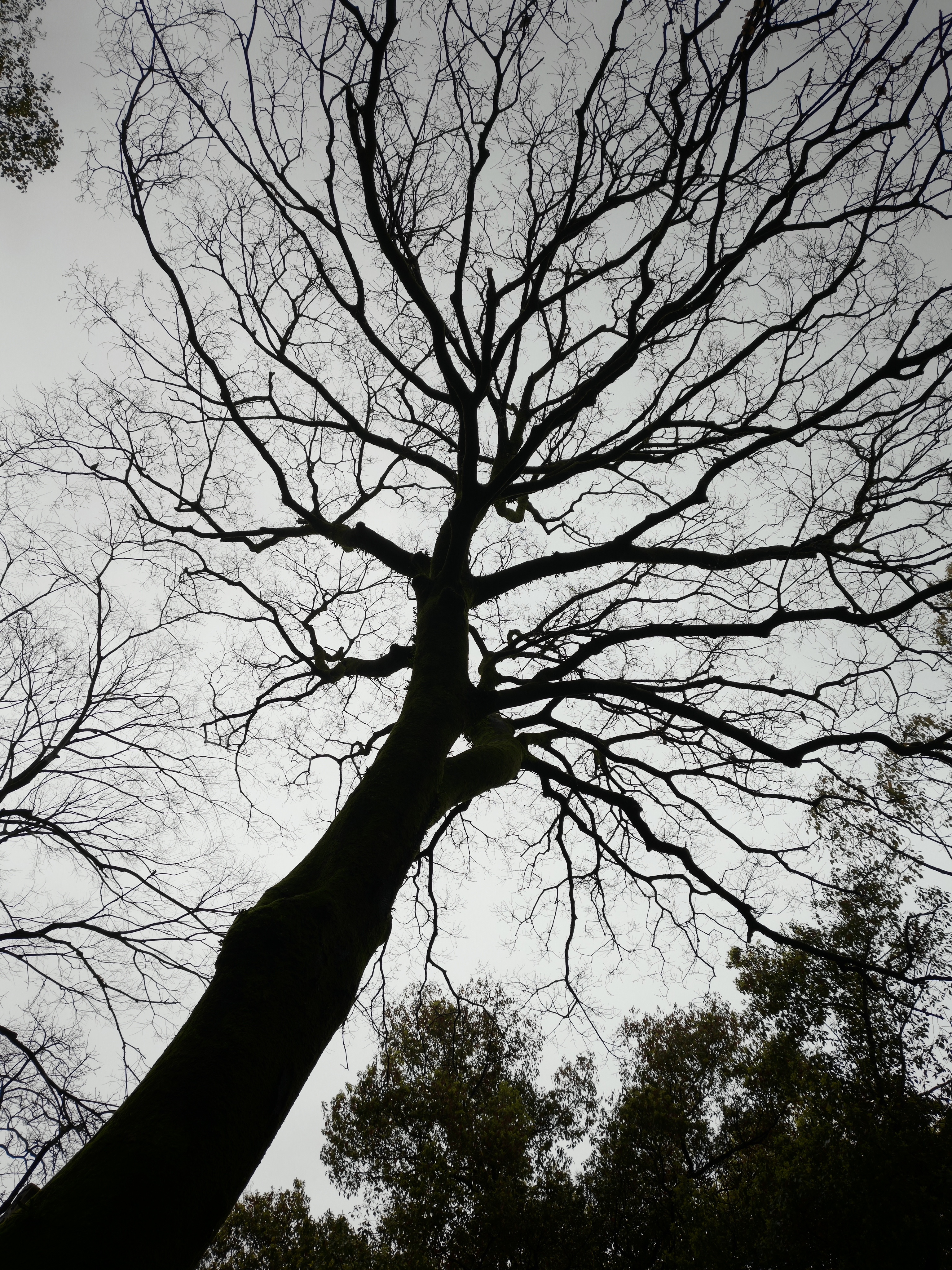 来都来了，打卡中国四大书院之一的岳麓书院
