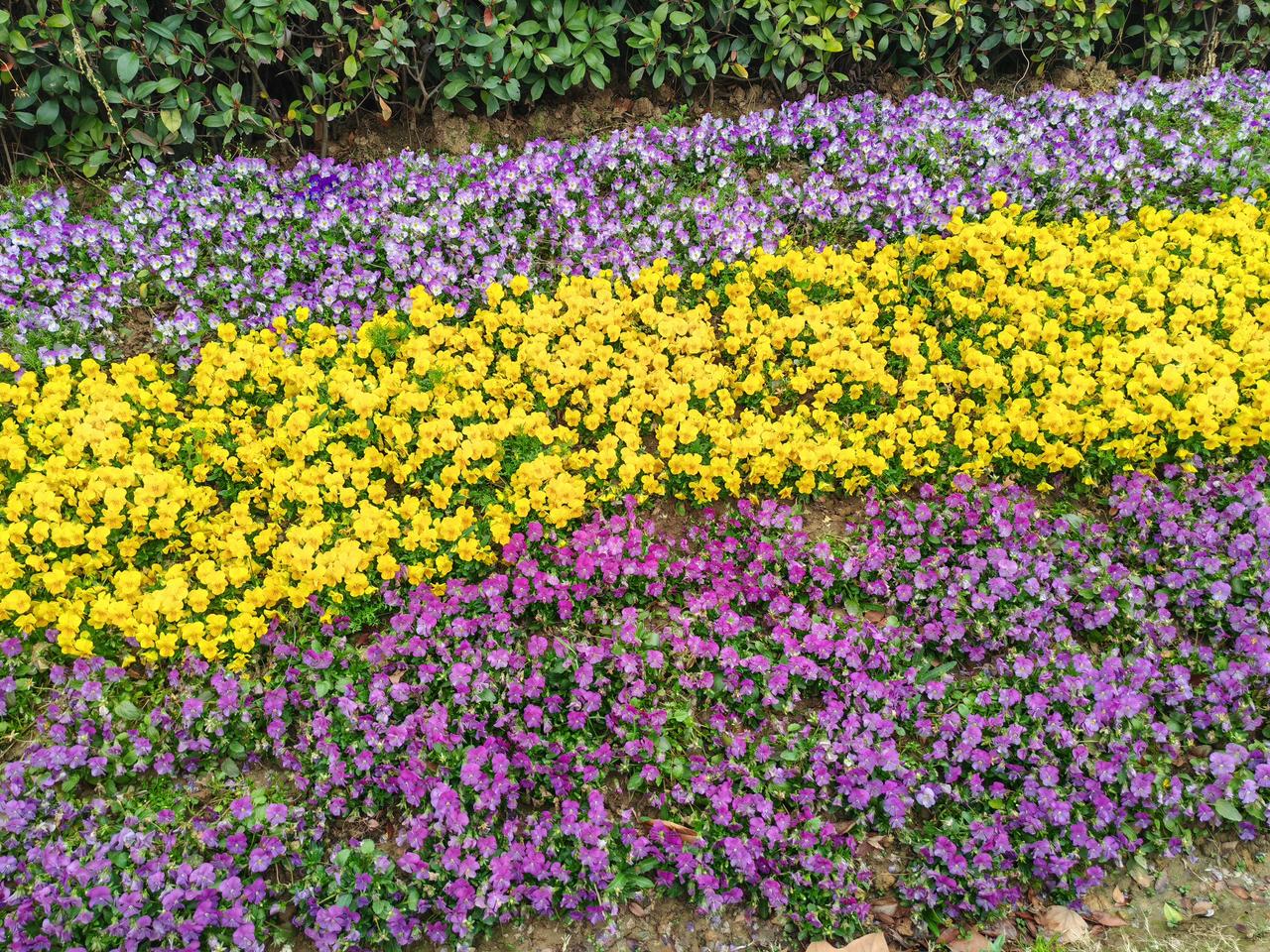 1、 写了好久的征文，“”给明星写一封信”，今天终于有500个阅读量了；
2、黄