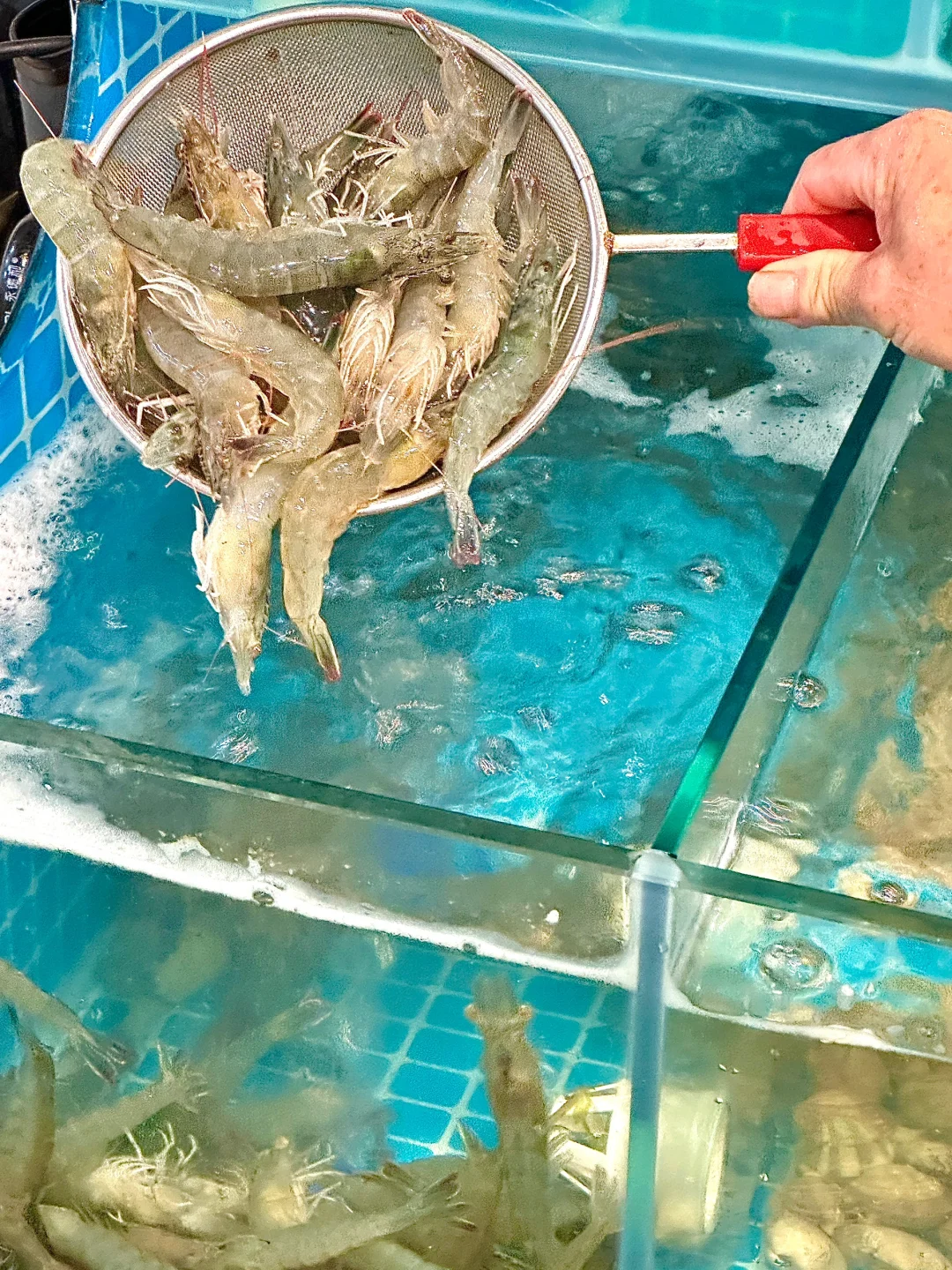 卧……卧卧C‼️重庆首家鲜辣蟹‼️终于吃上了