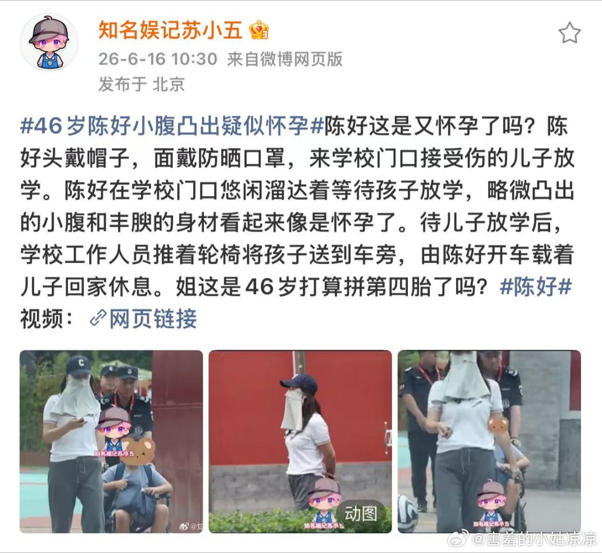 陈好疑似怀孕有狗仔跟拍陈好，并爆料说陈好疑似怀孕，这是真的假的