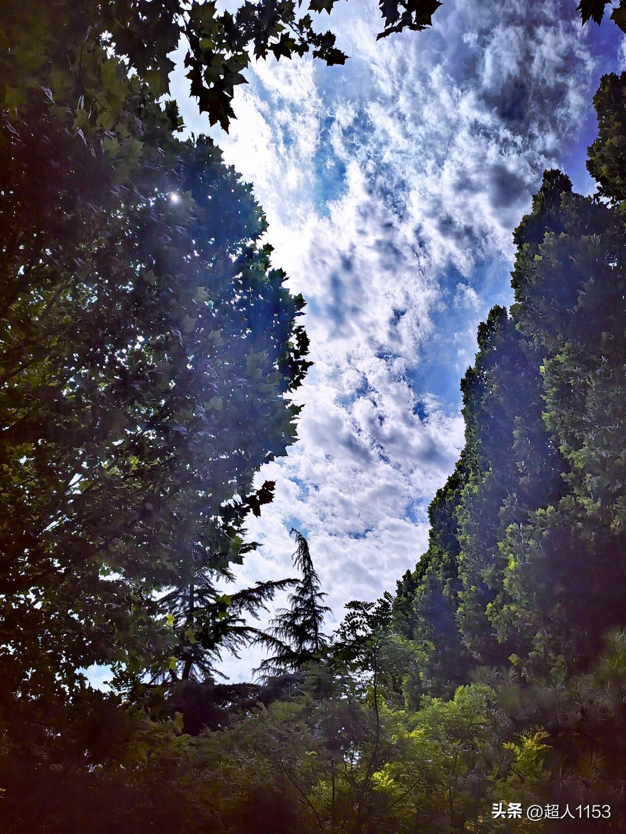 又是美好的一天！
美好的心情在当下。

蔚蓝的天空，
白云朵朵。

绿植在两侧，