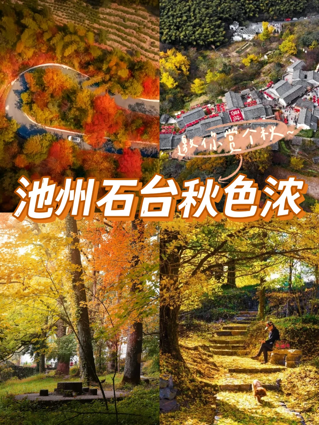 池州石台秋色正浓，你准备好来了吗🍁🍂