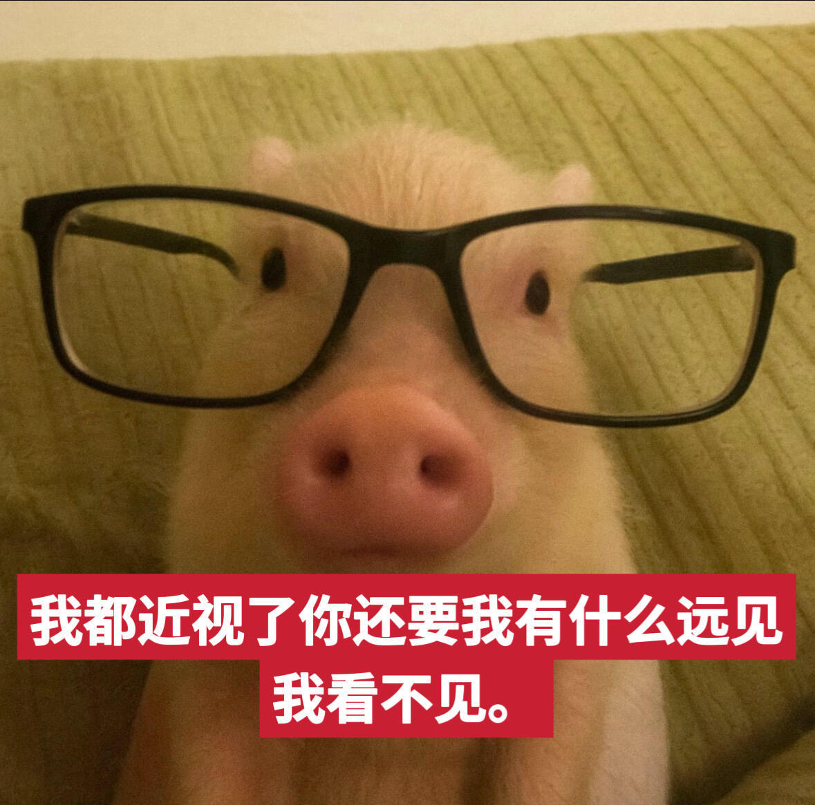 分享图片 ​​​