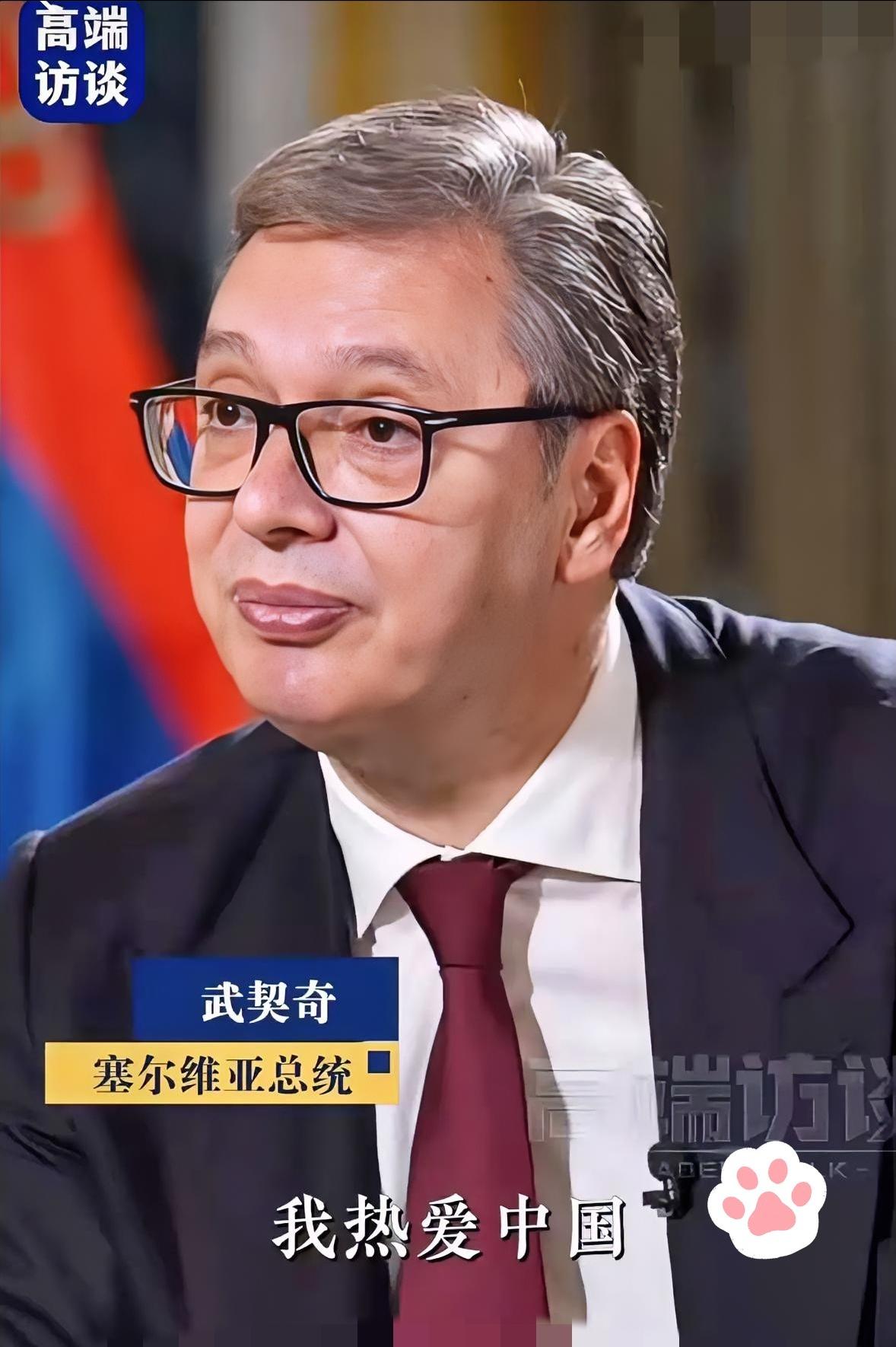 塞尔维亚总统武契奇接受央视记者采访说:
 
在中国街头散步不到20分钟就被中国网