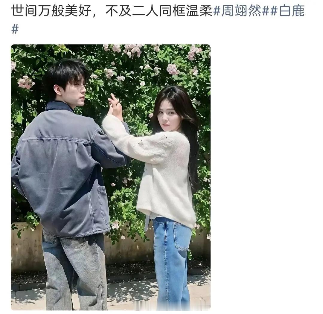 白鹿把头像换成和周翊然出外景时拍的图了莫离6月不是要播了吗？这个时候跟同期剧男主