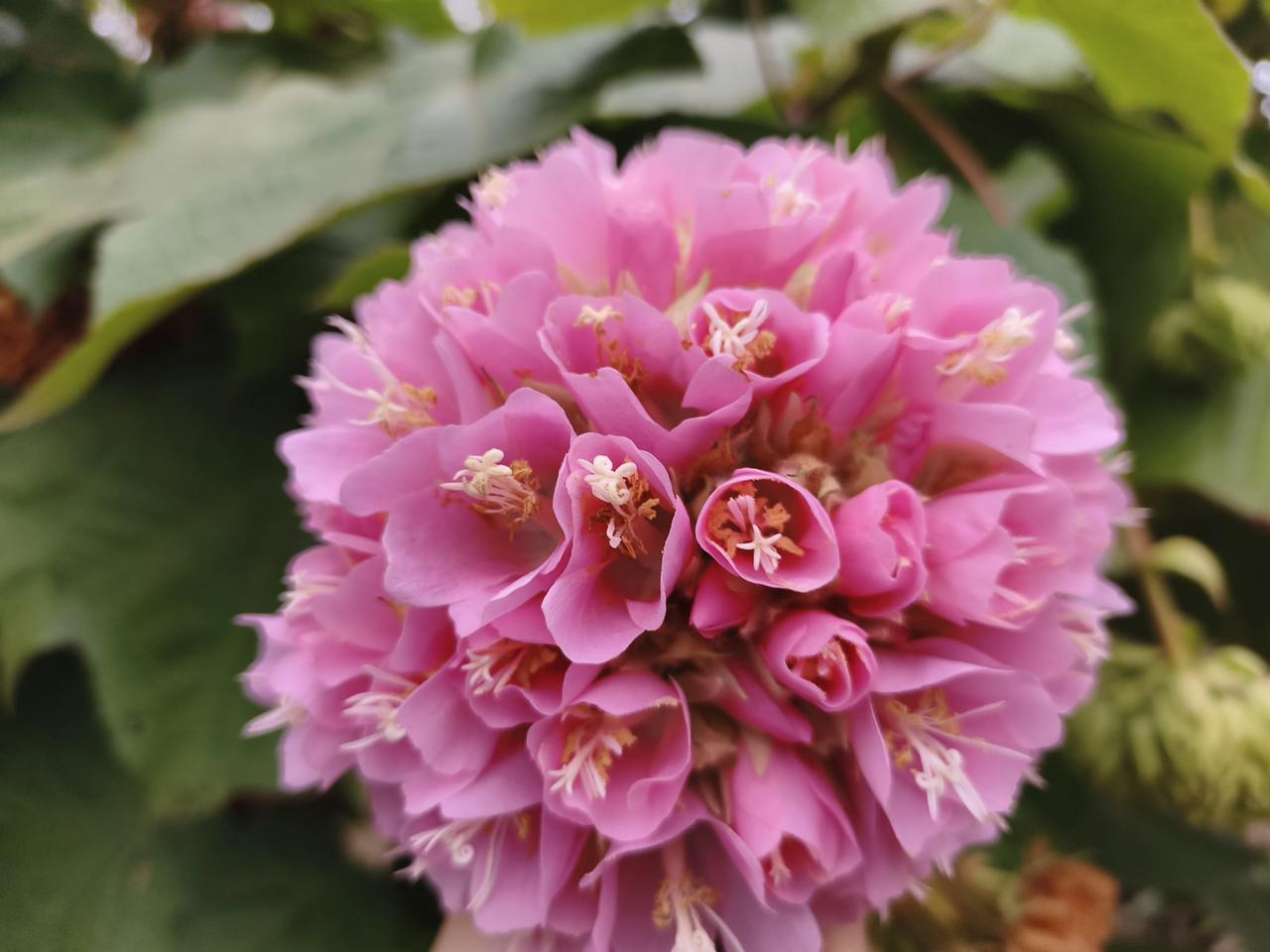 你拍过最美的一张南宁的图片是什么记录生活中的美好！