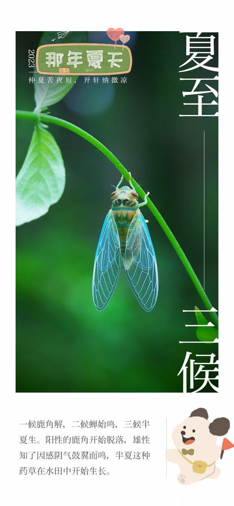 夏季，三伏天，十大食疗方1 酸梅汤：将酸梅、冰糖和水一起煮沸，然后放凉后饮用。酸