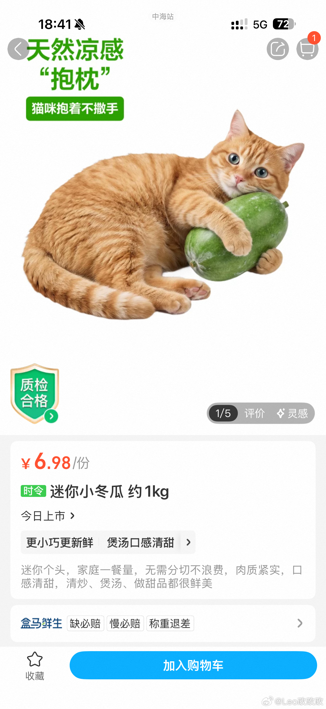 猫：日子怎么可能和谁过都一样～ 