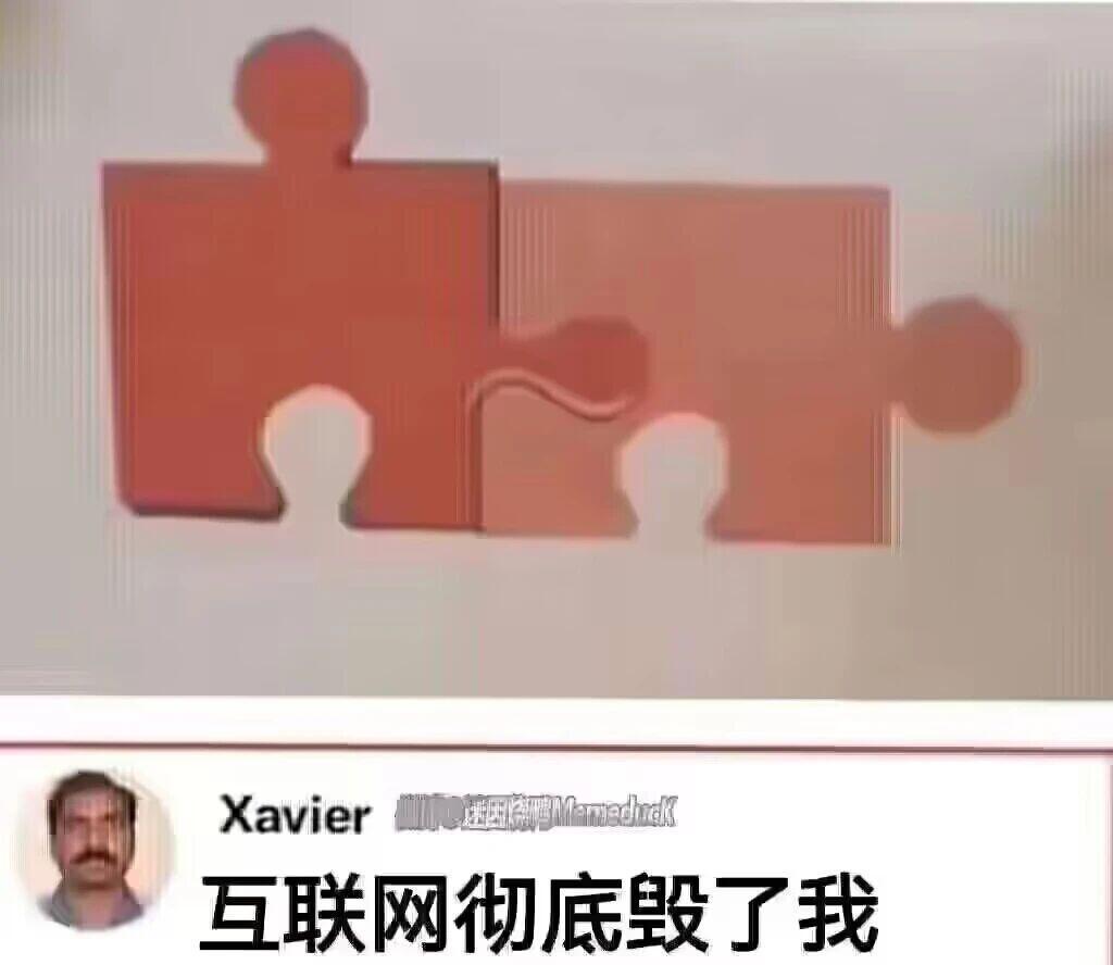 每日梗图合集 ​​​