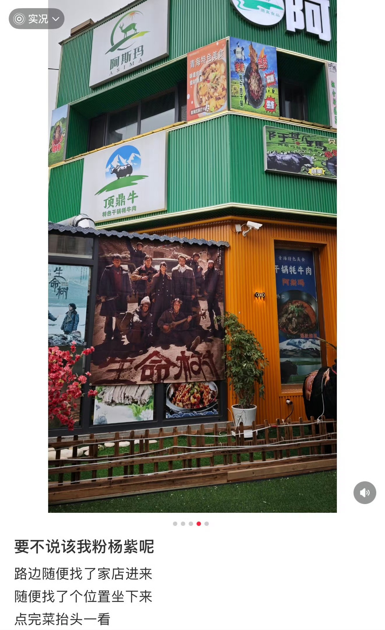 生命树青海省剧真不是随便说说的👍 
