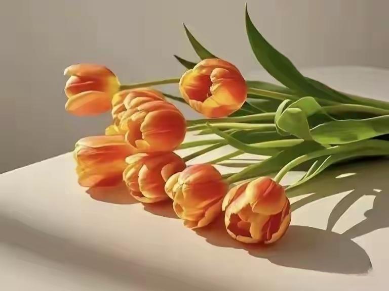 ＃分享每日正能量＃
       努力的意义，不是让你取得多大的成就，而是让你在