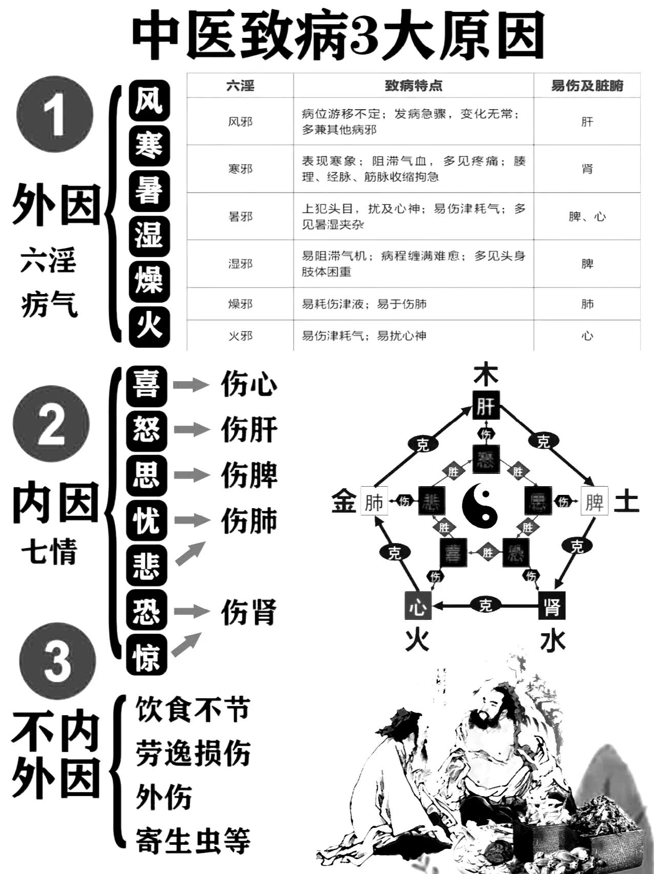 中医致病3大原因深度解析

今天我们将一同探讨中医理论中致病的三大原因，以及它们