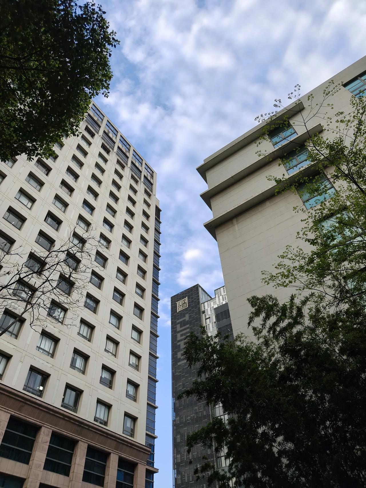 今天本应是发工资的日子，
不过到目前为止还没看到。
不知道等会儿有没有，
现在各