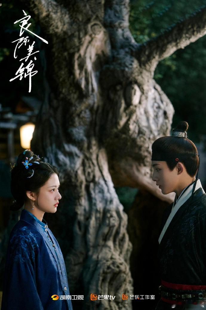良陈美锦直播电视剧良陈美锦作为原著粉真的太满意了，《良陈美锦》高度还原小说精髓，