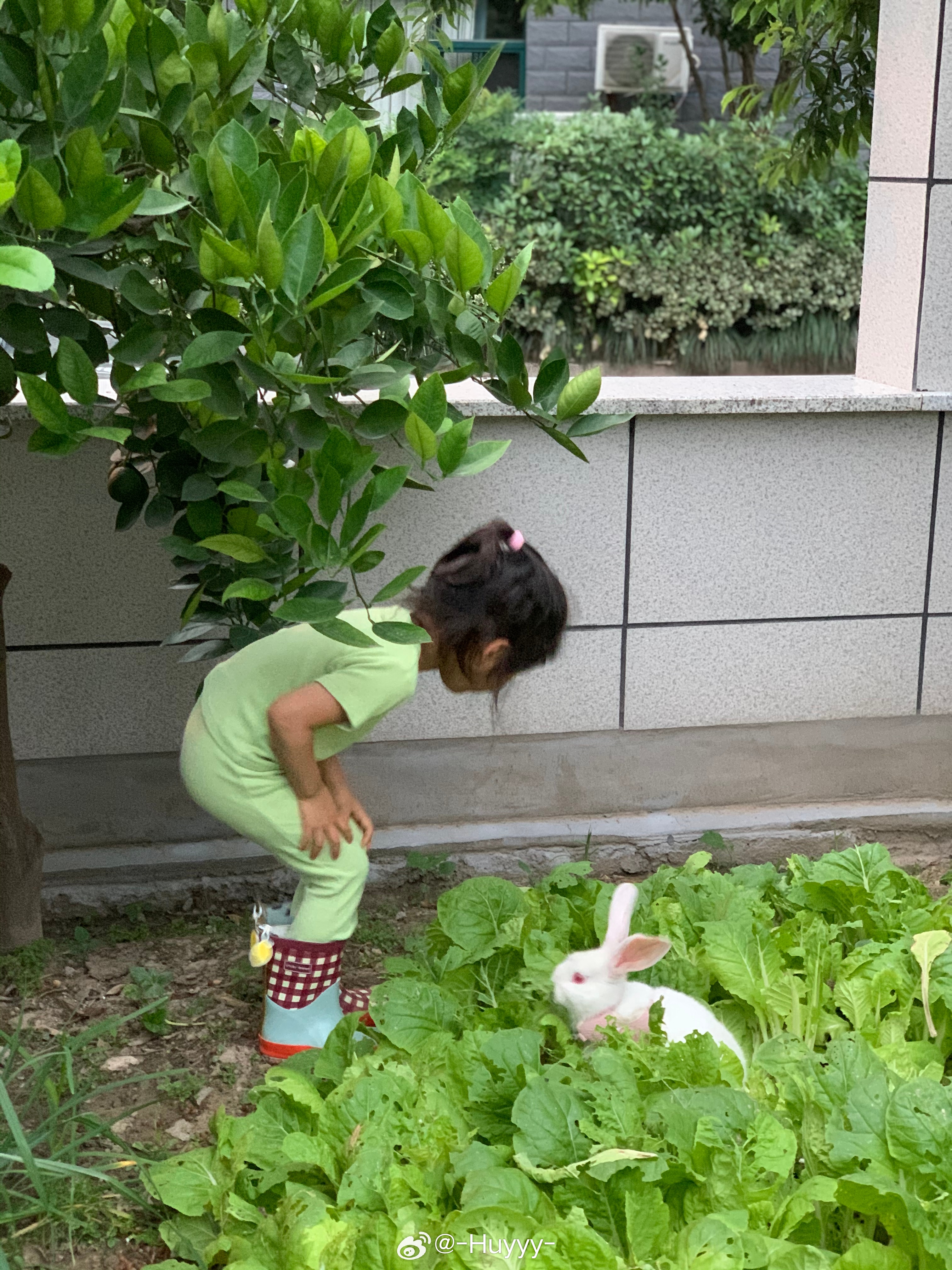 许愿金漂亮1.0猫猫兔兔好可爱🥰羊小李女孩羊小李leolambs金漂亮