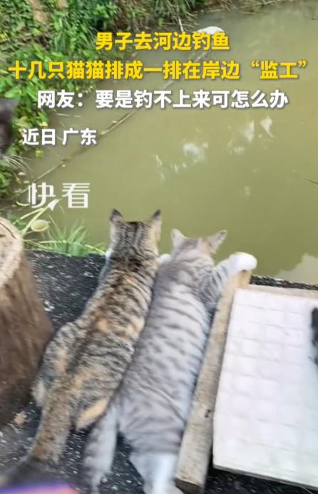 今年9月，广东，一名男子去户外钓鱼，打好窝抛出鱼竿，本想安安静静守着，谁料他的身