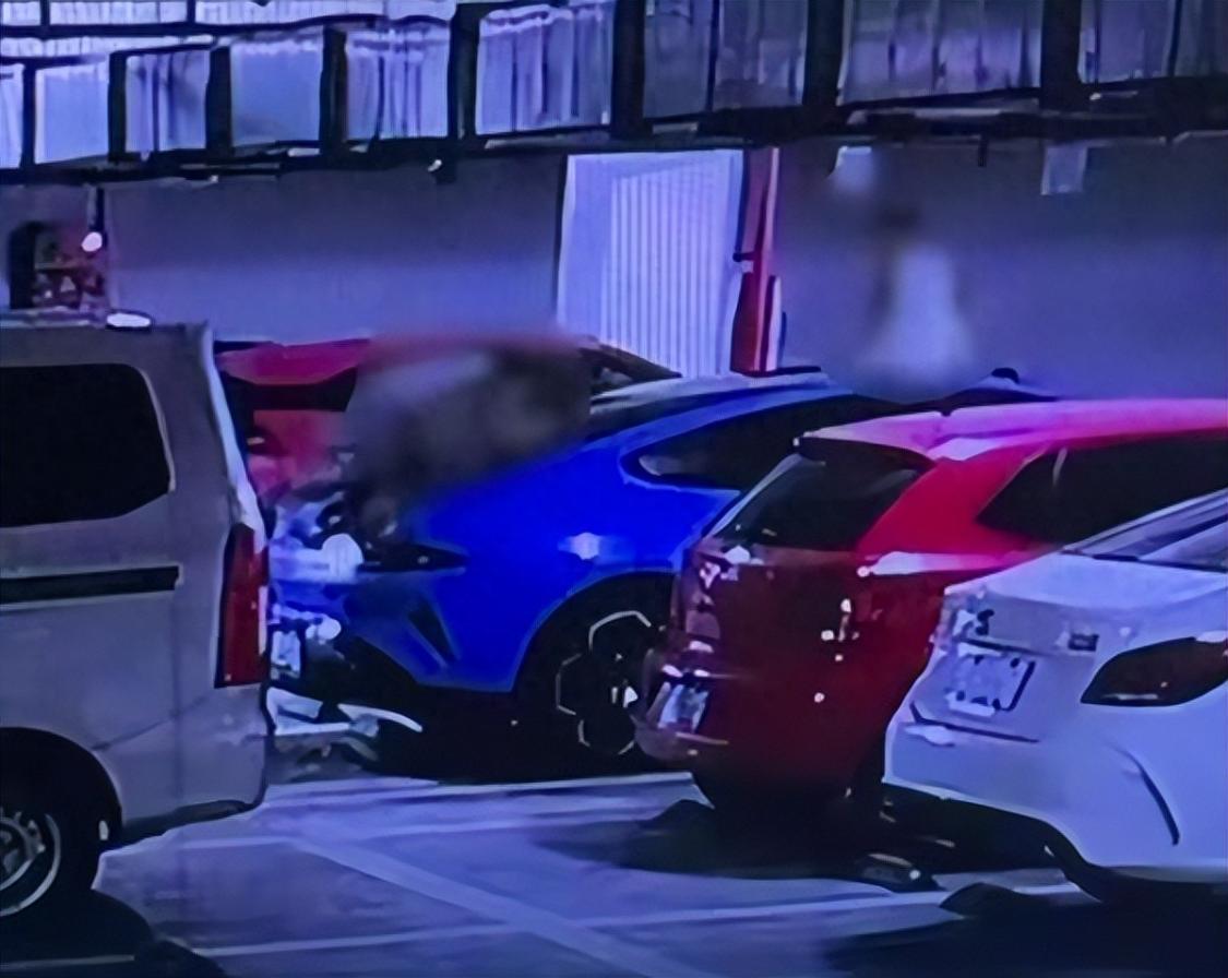 安徽合肥，女子才提三个月的小米新车，停在自家产权车位，一夜之间被三个小孩当成玩具