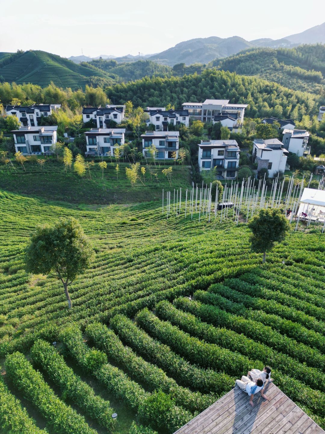 江浙沪🍵推荐一处真正的茶山秘境吧