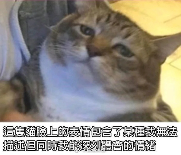 下班！美术姐：我朋友们都嘲笑我的工作我：你们虽然钱不多，但是活也少啊美术姐：不是