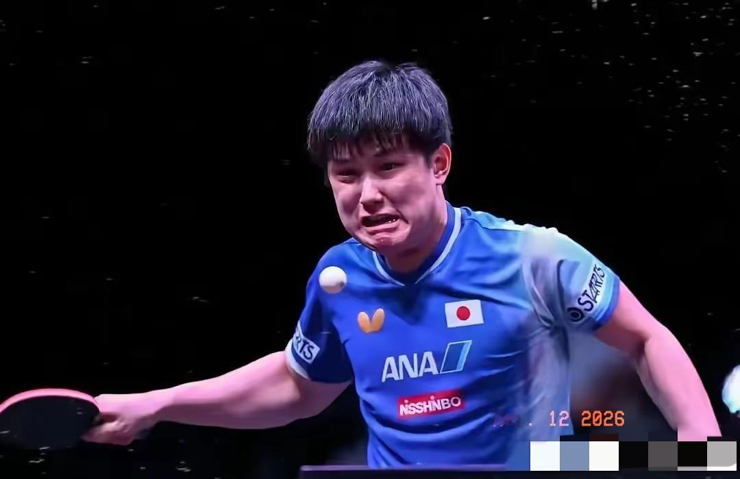 张本智和icon蛮可怜的
世界上大概没有一个乒乓球选手比张本智和更可怜的了，因为
