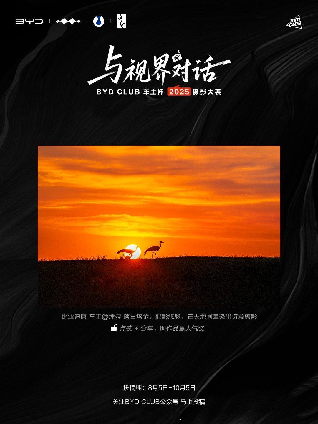 喜欢摄影热爱拍照的车友们冲呀！BYD CLUB车主杯·2025摄影大赛已经快要进