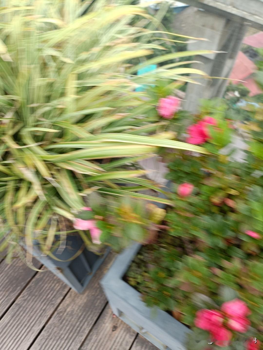 哪一首歌让你最能想到妈妈的爱爱的奉献让我想起妈妈的爱。