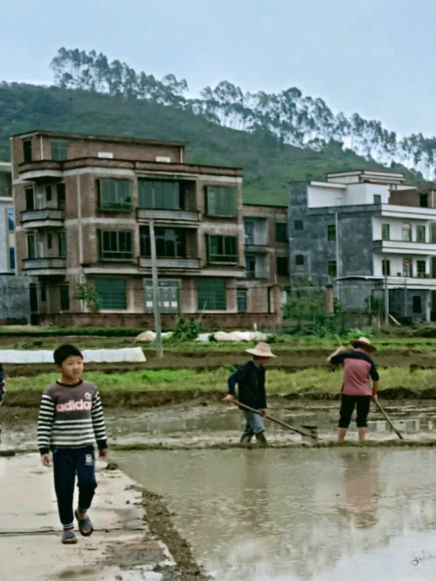 你信吗？这沾着泥的春，比城里的花更勾人。
 
田埂上的男孩晃着拖鞋，泥点溅在裤脚