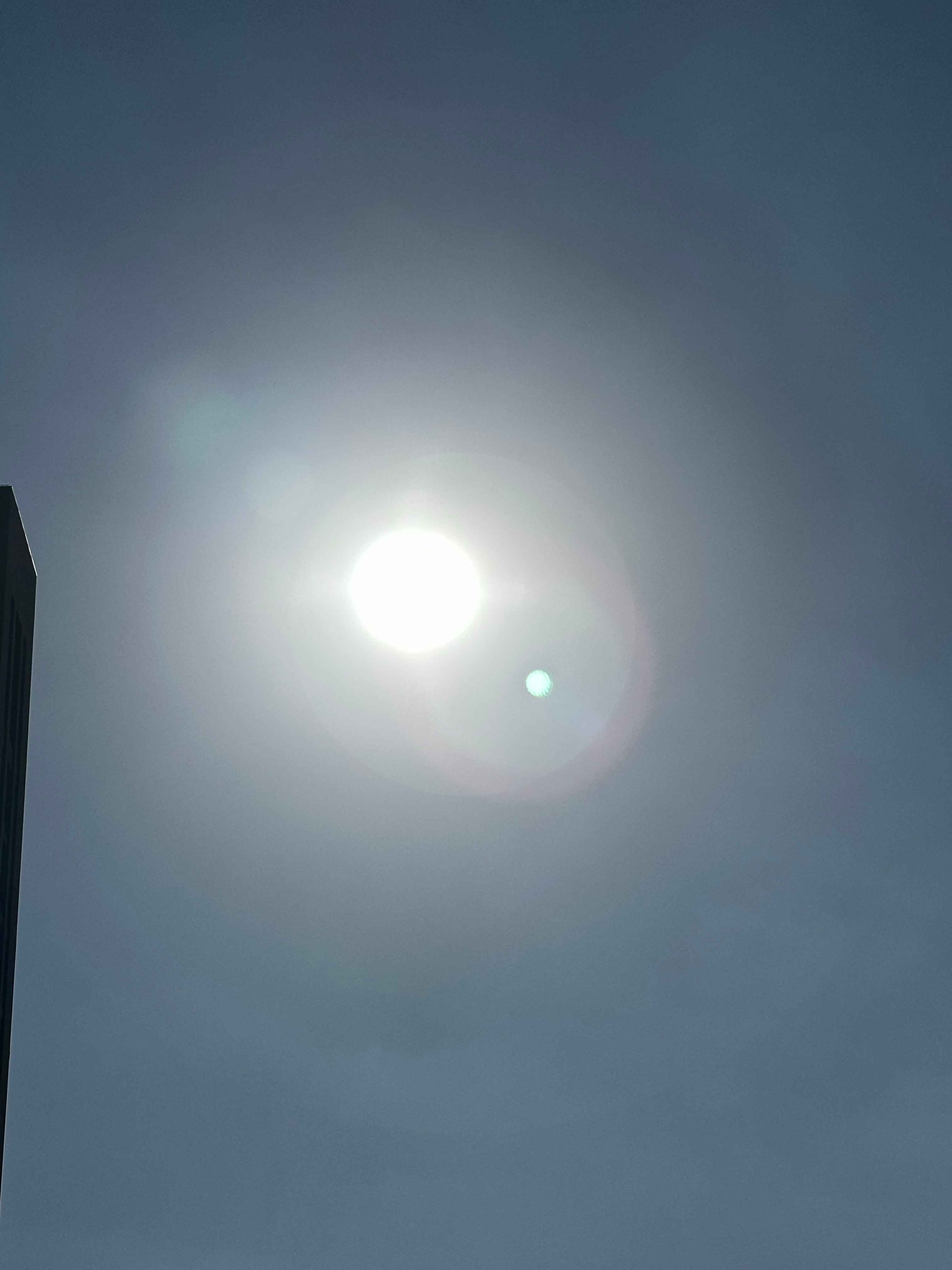 生活不论好坏，每天都是限量版，永远乐观自信，永远积极向上，别让世俗，淹没了生活的