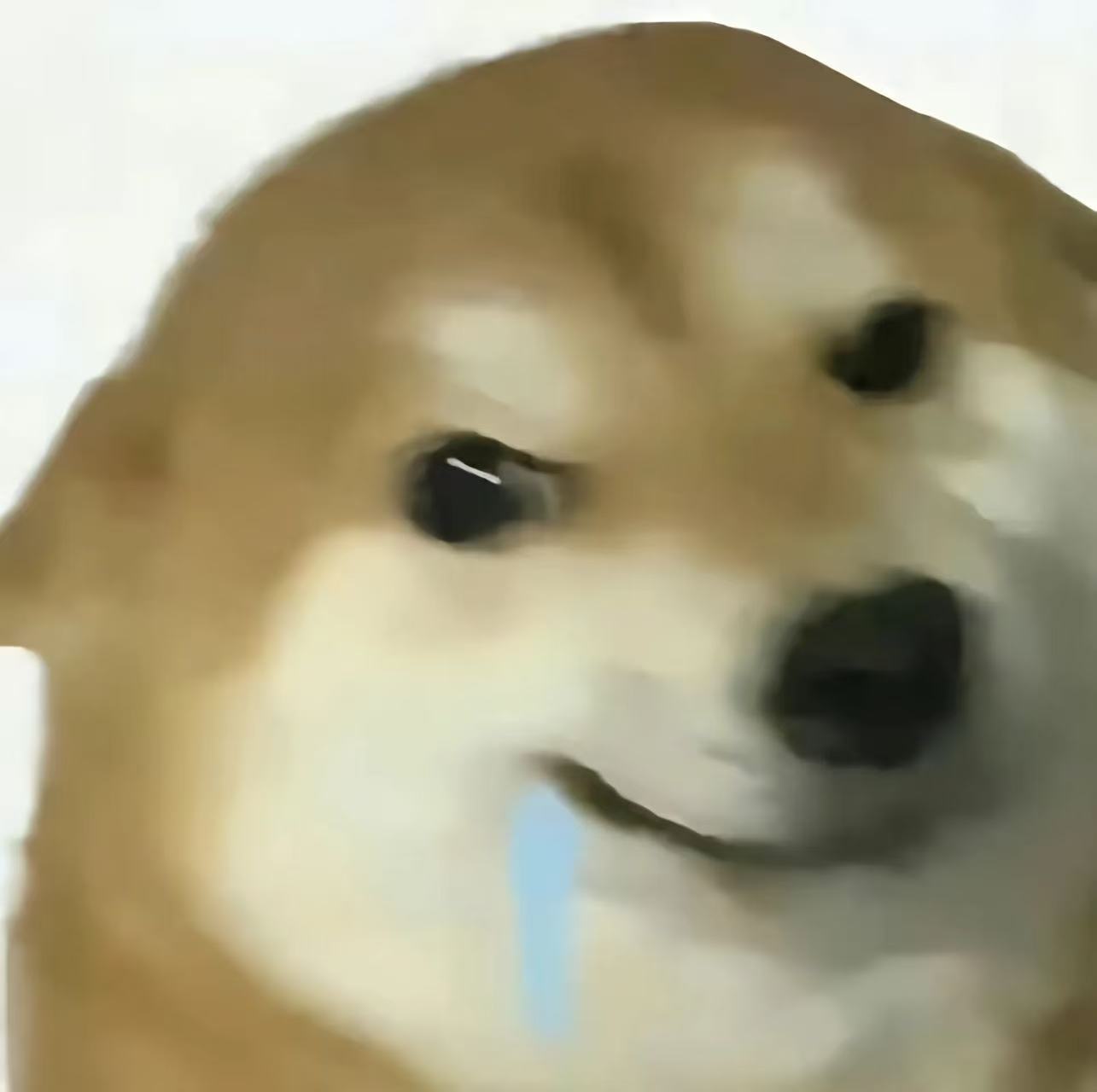 当代大学生的毕业现状毕业典礼上笑得灿烂，转头独自收拾堆满杂物的宿舍，和青春挥手告