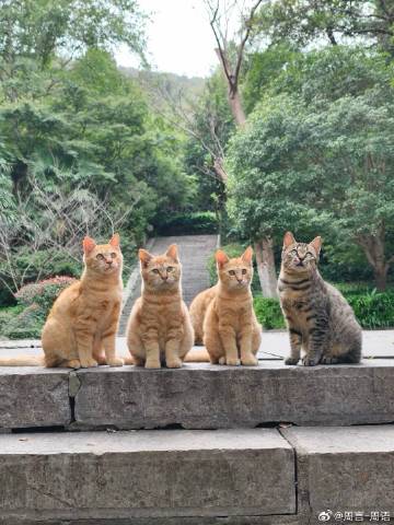 今日随想（10月27日）：<br /><br />1、这两天，全球鸣叫...