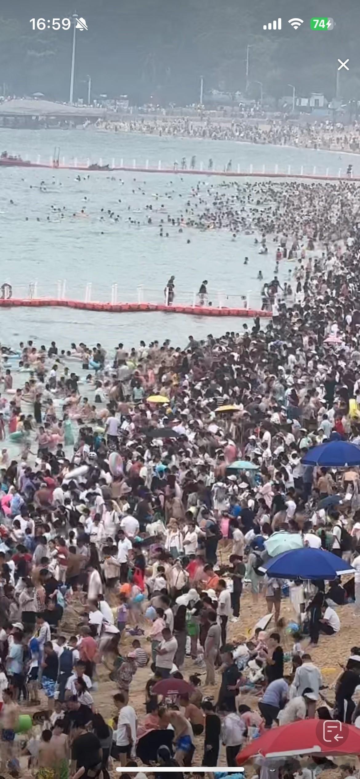 宅眼望大梅沙：一场遥距的饺子盛宴