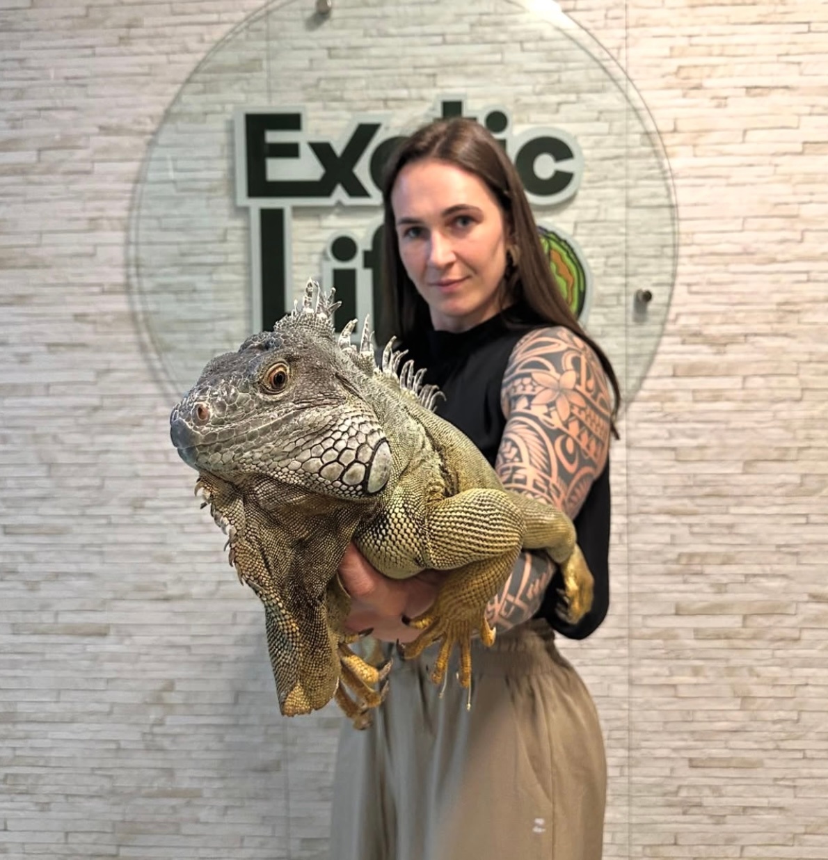 Ig上关注的一位异宠女医生vet.duemes工作的时候超级有魅力啊哈哈哈！！ 