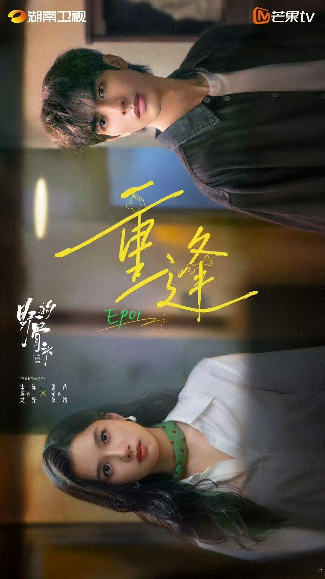 宋威龙宋威龙张婧仪野狗骨头首播反馈野狗骨头 首播反馈来了！宋威龙这次真的让人刮目