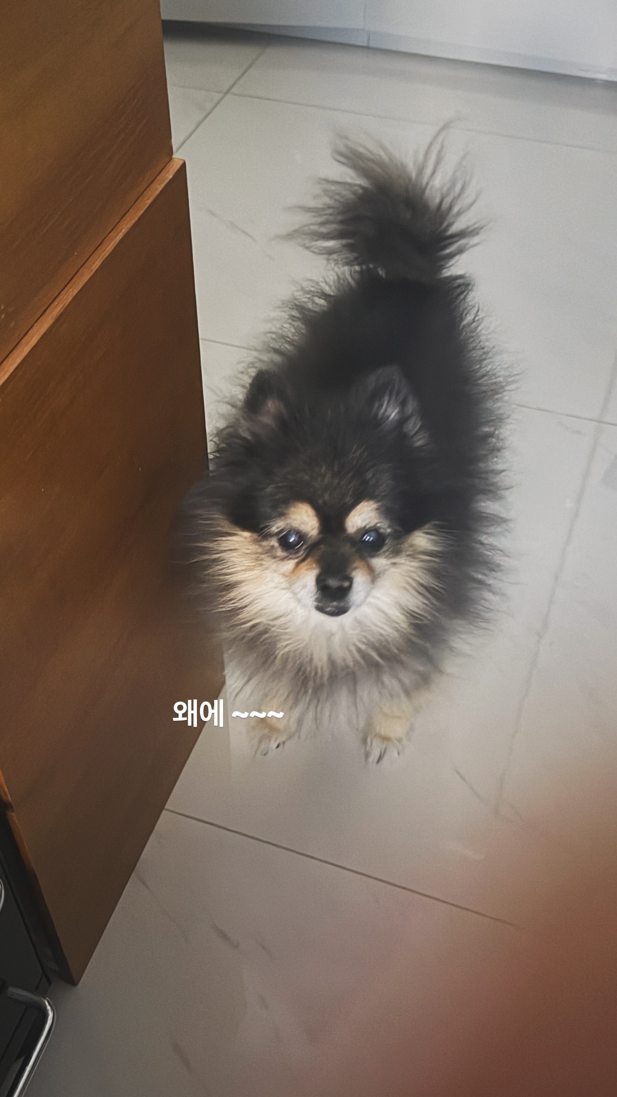 “CB百蓝_。251228金钟云 ins story更新：怎么了~~~ 